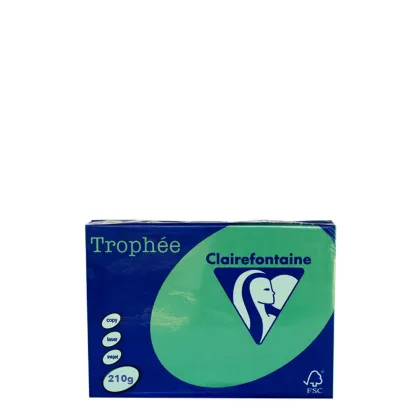 A4 210gr Green Forest