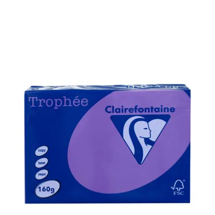 A3 160gr Lilac Intensive