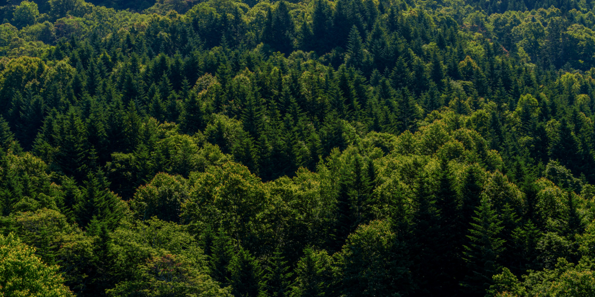 SUSTAINABILITY IS AT THE CORE OF OUR BUSINESS.