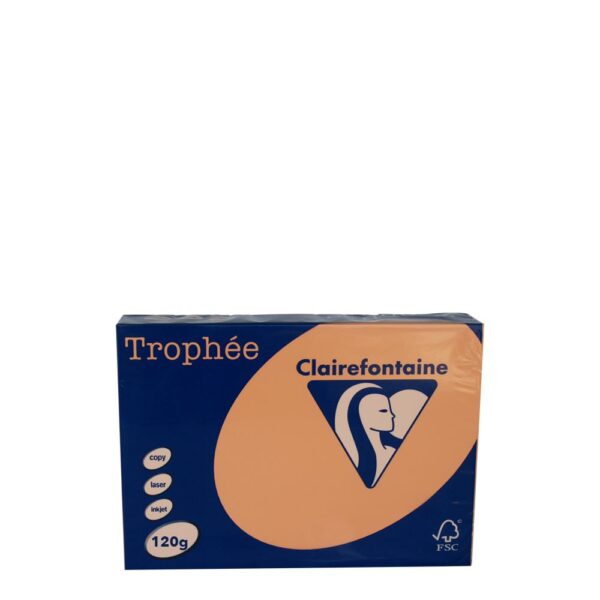 A4 120gr Peach