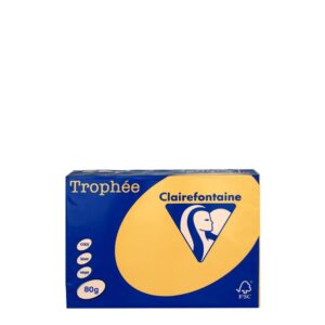 A4 80gr Gold