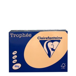 A3 80gr Apricot