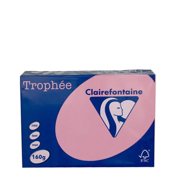 A3 160gr Rose Wild