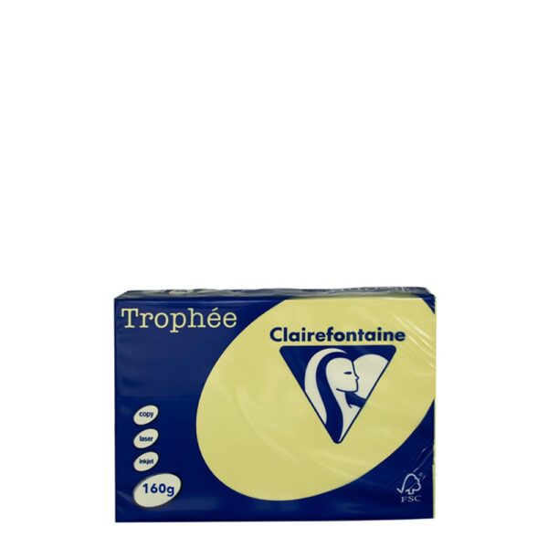 A4 160gr Daffodil
