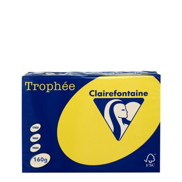 A3-160gr Yellow Intensive