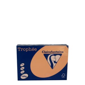 A4 160gr Peach