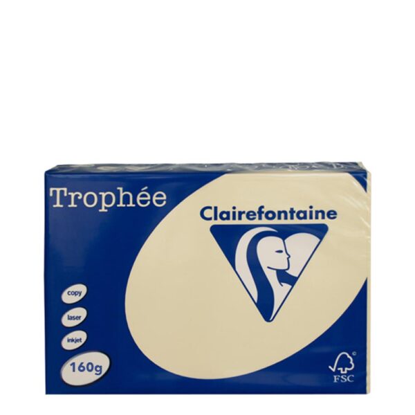 A3 160gr Chamois