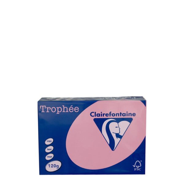 A4 120gr Rose Wild