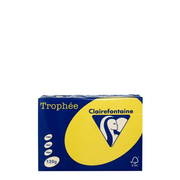 A4-120GR-Yellow Intensive