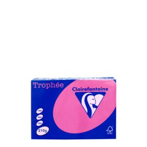 A4 210gr Pink Intensive