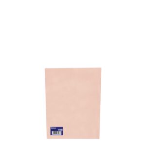 Mini Pack A4/160gr (10sh) Salmon