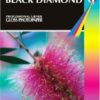 BLACK DIAMOND GLOSS PHOTO PAPER A4 210G 50sheets