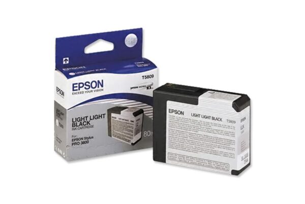 EPSON PRO 3800 T5809 ORIGINAL LIGHTX2 BLACK