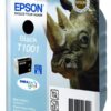 EPSON T1001 ORIGINAL BLACK INK